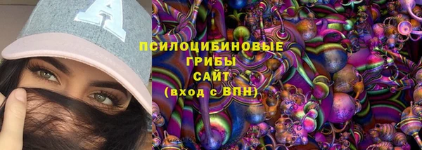 хмурый Алексеевка